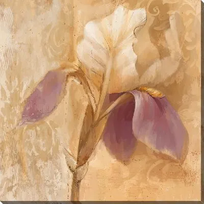 Винтажные ирисы