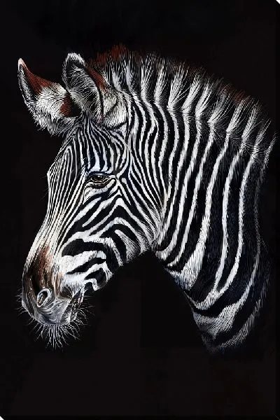 Картина маслом Портрет зебры