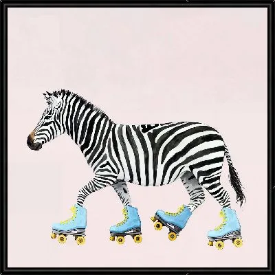 Зебра на роликовых коньках