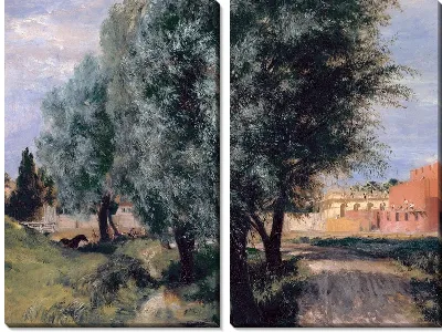 Ивы на фоне строящегося здания (Willows on the background of the building under construction)