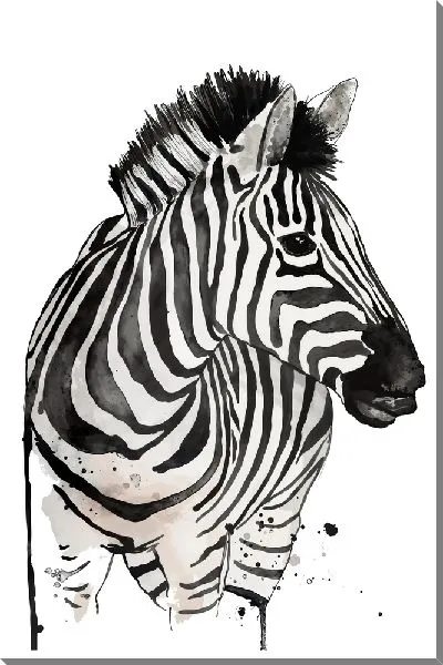 Картина маслом Рисунок зебры на белом фоне