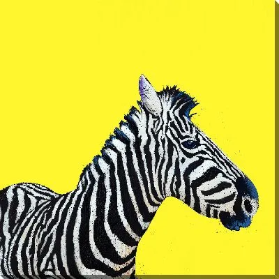 Зебра на ярко-желтом фоне
