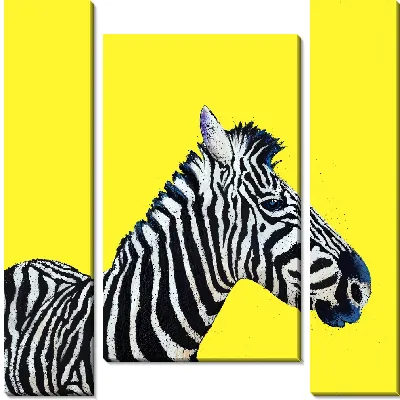 Зебра на ярко-желтом фоне