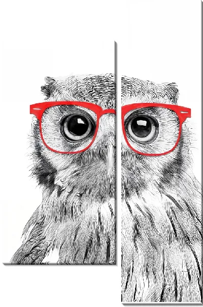 Модульная картина Сова в красных очках
