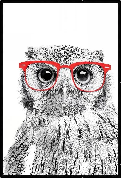 Картина Сова в красных очках