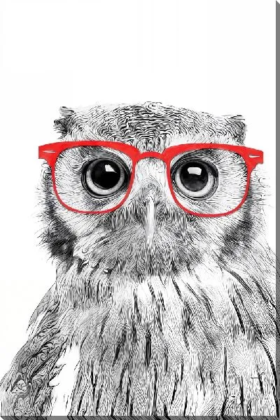 Постер Сова в красных очках