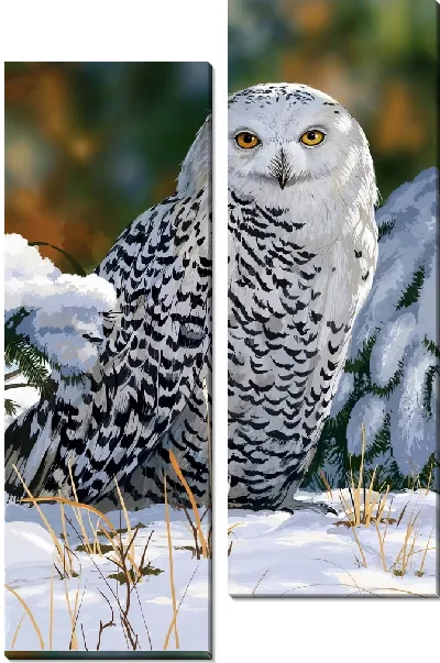 Модульная картина Белая сова