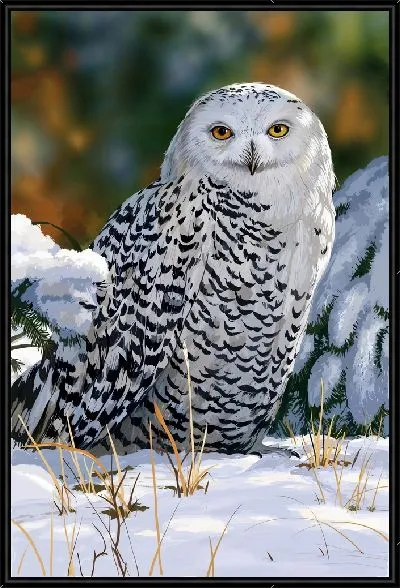 Картина Белая сова