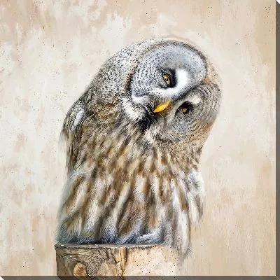 Картина маслом Приветливая сова