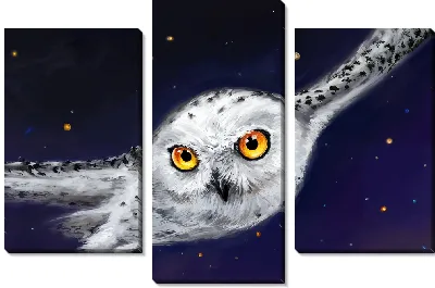 Модульная картина Летящая сова