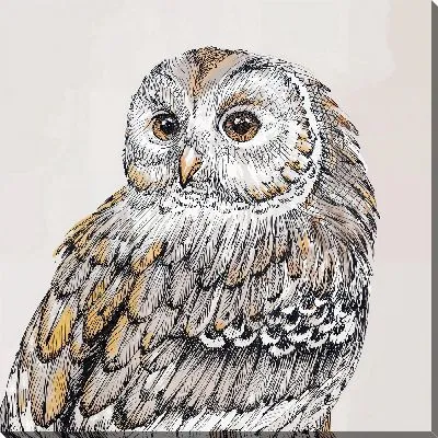 Картина маслом Сова на бежевом фоне
