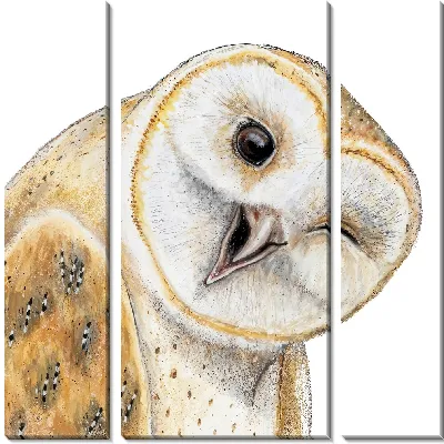 Подмигивающая сова