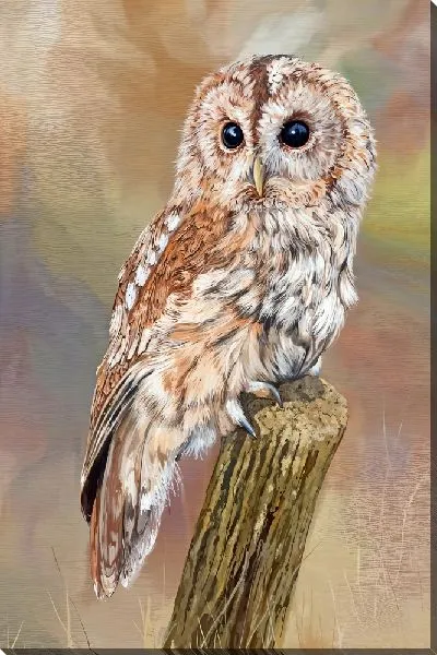 Картина маслом Совенок на пеньке