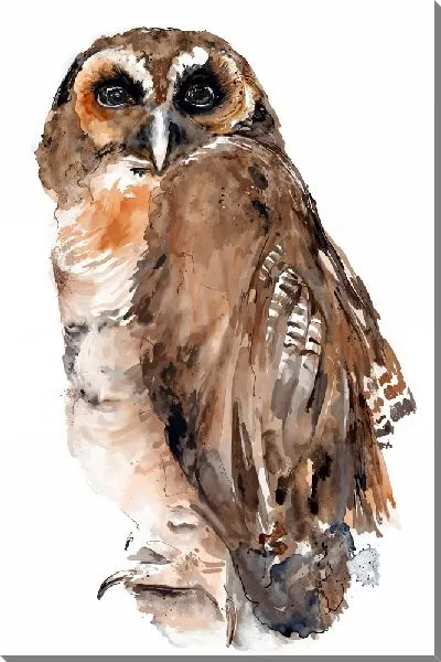 Картина маслом Взрослая сова