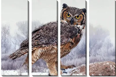 Модульная картина Сова зимой