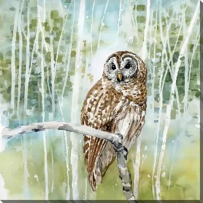 Картина маслом Сова летом