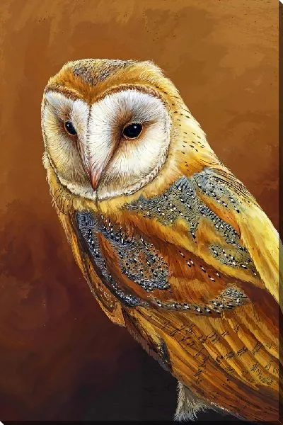Картина маслом Красивая сова