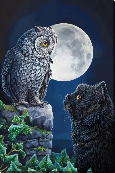 Картина маслом Сова и кот под Луной
