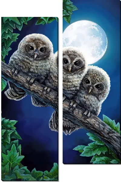 Модульная картина Три совенка под Луной