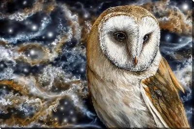 Картина маслом Сова №4