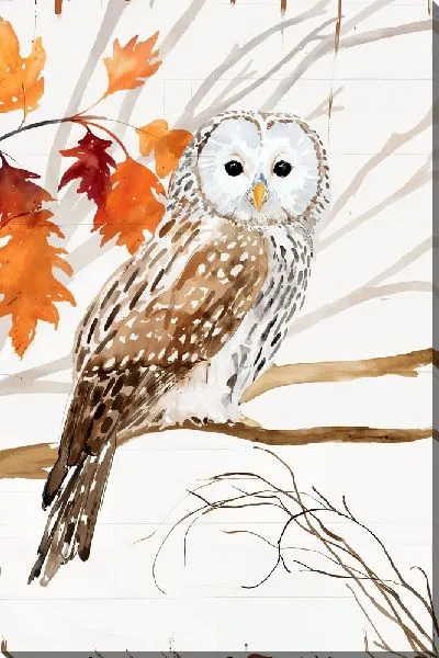 Постер Сова осенью