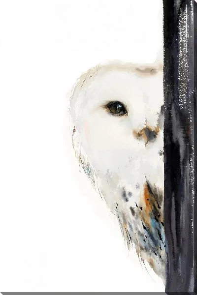 Картина маслом Прячущаяся сова