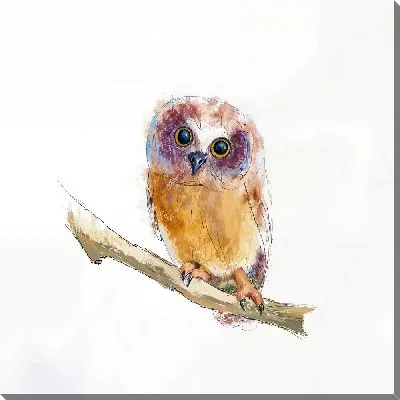 Картина маслом Совенок на ветке