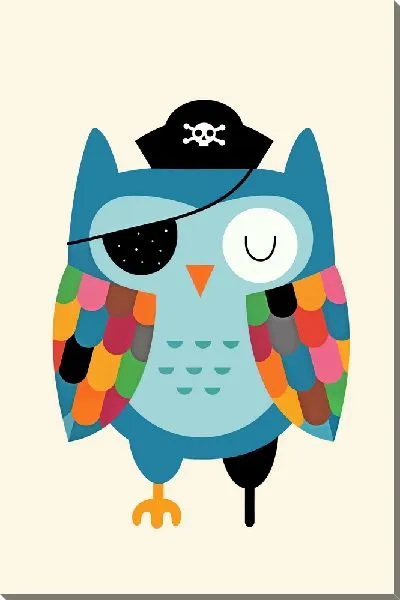 Постер Совенок-пират