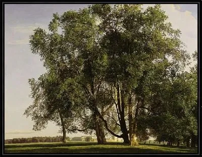 Пейзаж (Landscape) №35