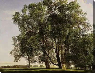 Пейзаж (Landscape) №35