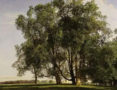 Пейзаж (Landscape) №35