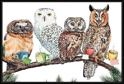 Совиное чаепитие