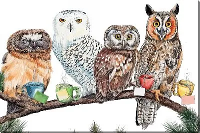 Картина маслом Совиное чаепитие