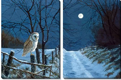 Модульная картина Ночной пейзаж с совой