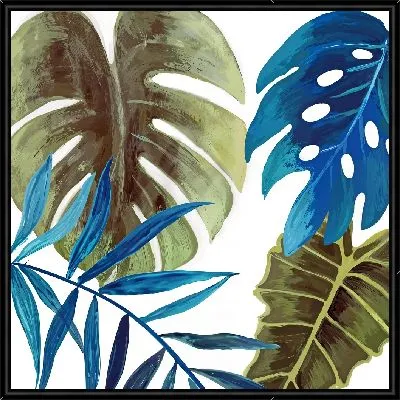 Пальма монстера