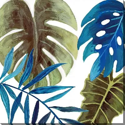 Пальма монстера