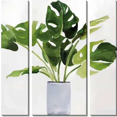 Модульная картина Листья монстеры в вазе