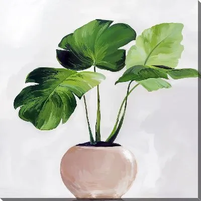 Картина маслом Монстера в кашпо