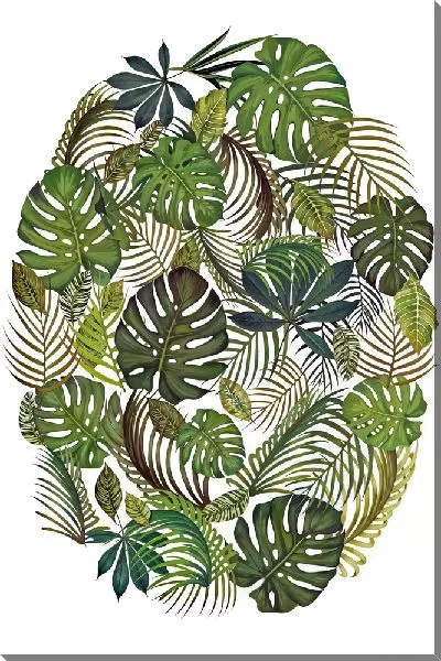 Картина маслом Плетение монстеры