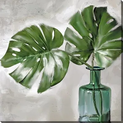 Монстера в прозрачной вазе