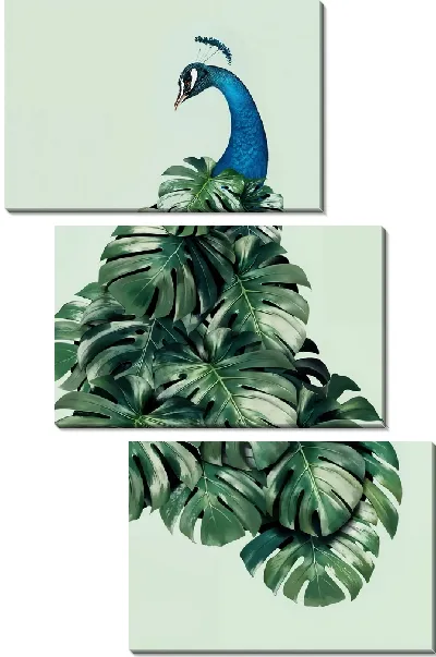 Модульная картина Павлин с листьями монстеры