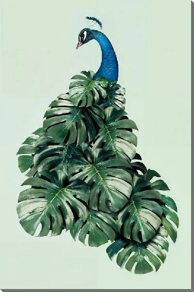 Постер Павлин с листьями монстеры
