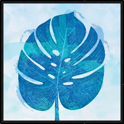 Голубой лист монстеры