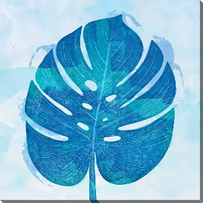 Голубой лист монстеры