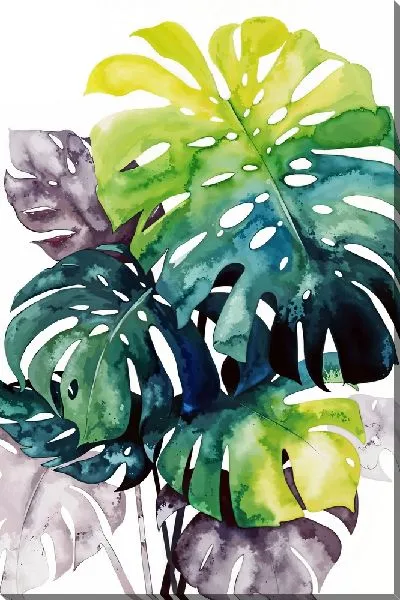 Картина маслом Композиция с монстерой №2