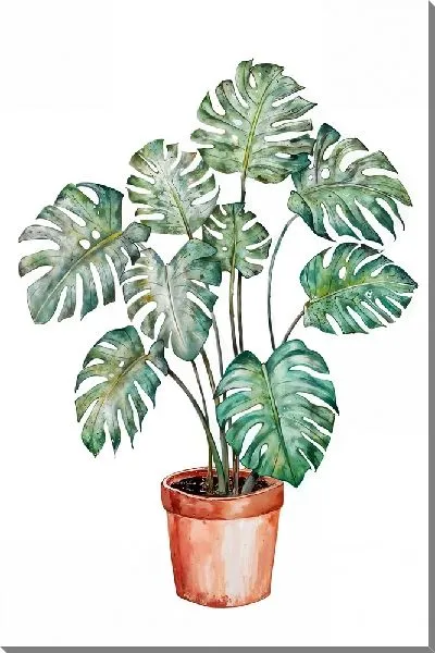 Картина маслом Монстера в горшке