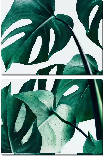 Модульная картина Композиция с монстерой №10