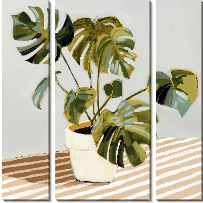 Натюрморт с монстерой на столе