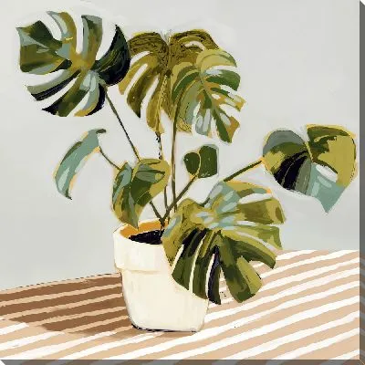 Натюрморт с монстерой на столе