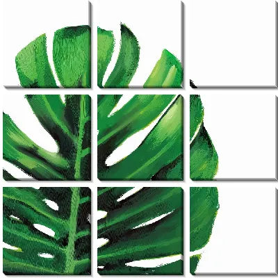 Модульная картина Монстера №8